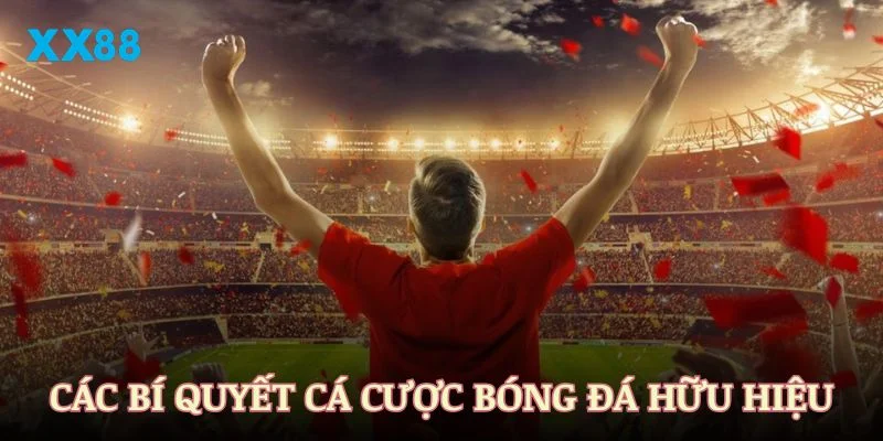 Các bí quyết cá cược bóng đá hữu hiệu nhất từ XX88