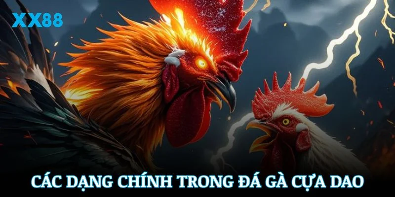 Tổng hợp các dạng cược chính trong đá gà cựa dao