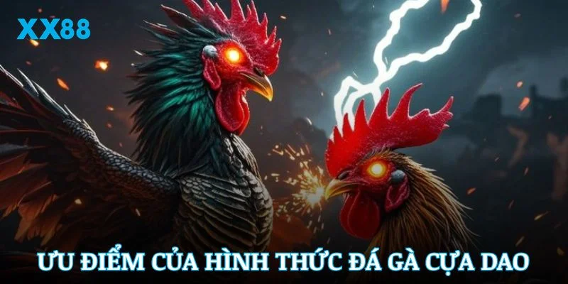 Khám phá các ưu điểm nổi bật của hình thức đá gà cựa dao