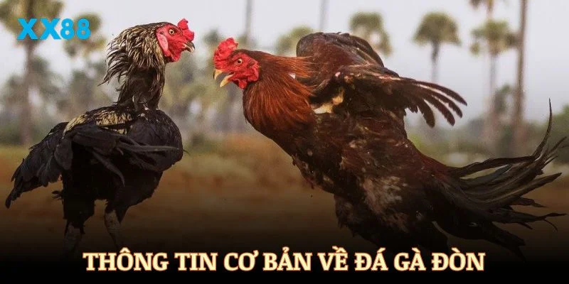 Thông tin cơ bản về đá gà đòn dành cho người mới