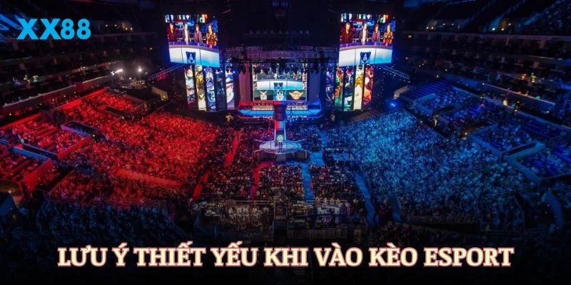 Những lưu ý thiết yếu trước khi bạn vào kèo Esport