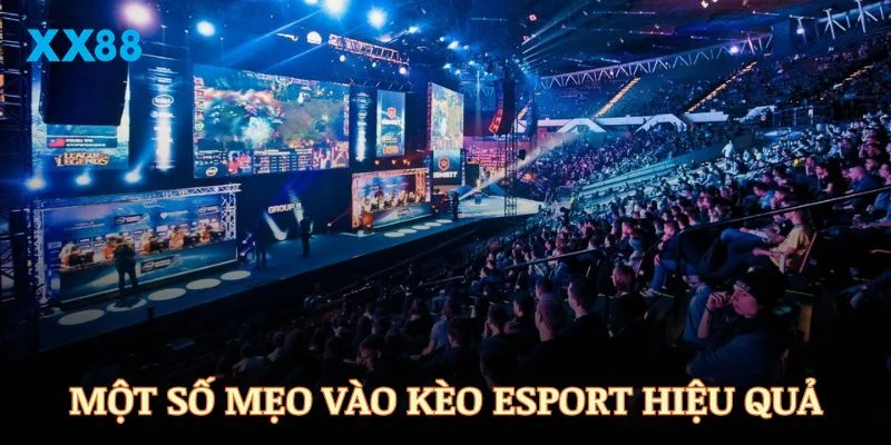 Một số mẹo vào kèo Esport hiệu quả mọi người nên áp dụng