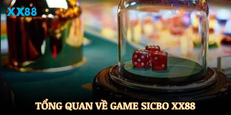 Giới thiệu tổng quan về game Sicbo XX88 - Xu hướng giải trí hot nhất